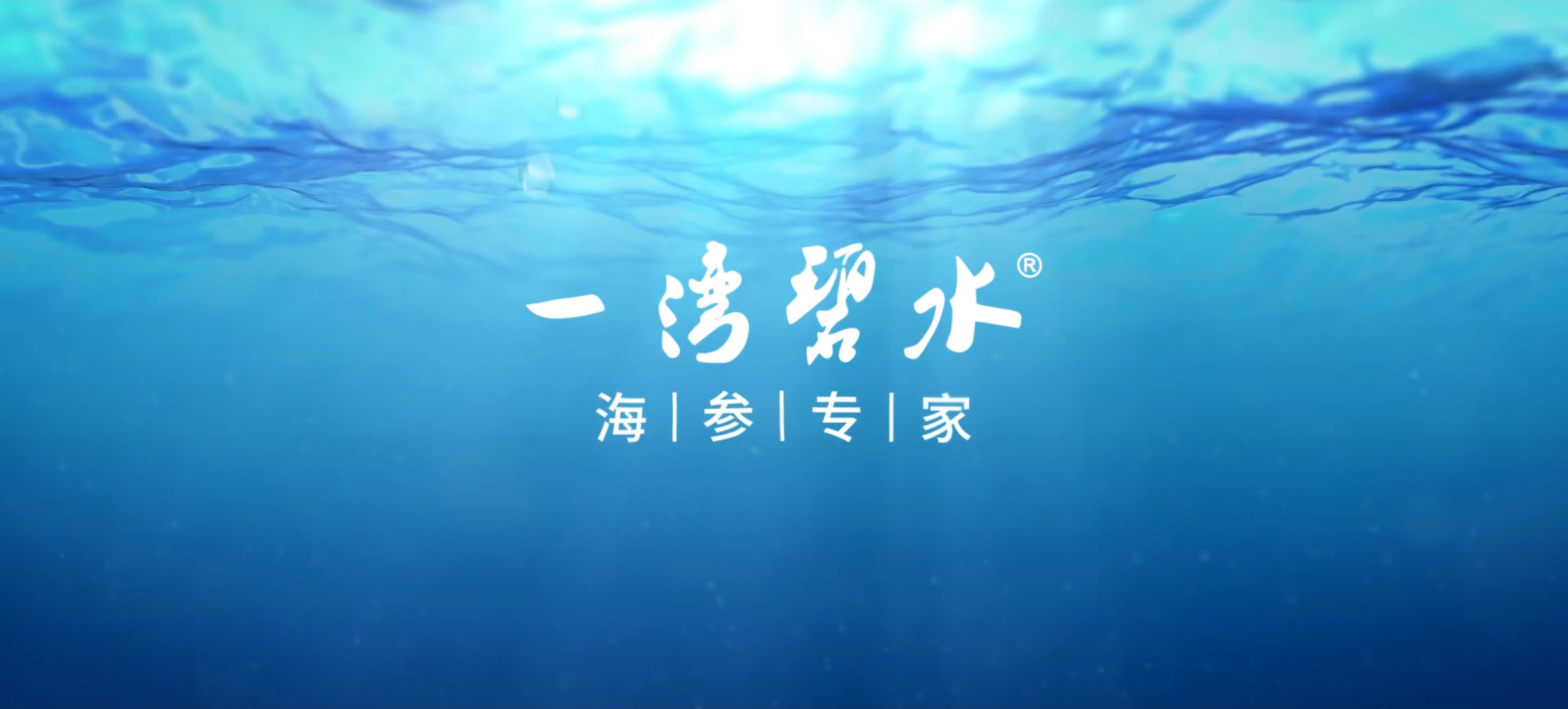 一湾碧水十周年,不负热爱必有回响,坚持品